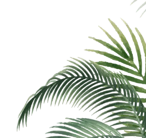 tratamientos de verano medicina estética